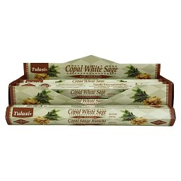 Obrázek pro produkt Vonné tyčinky Copal White Sage 20ks