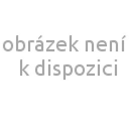 Obrázek pro produkt 100% ovocný džem Angrešt 200g