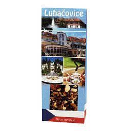 Obrázek pro produkt Město Luhačovice